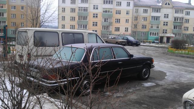 IMAG0244.jpg