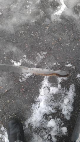 IMAG0284.jpg