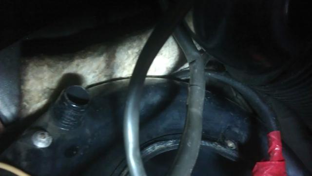 IMAG0305.jpg