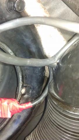 IMAG0306.jpg