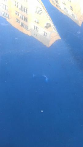IMAG0720.jpg