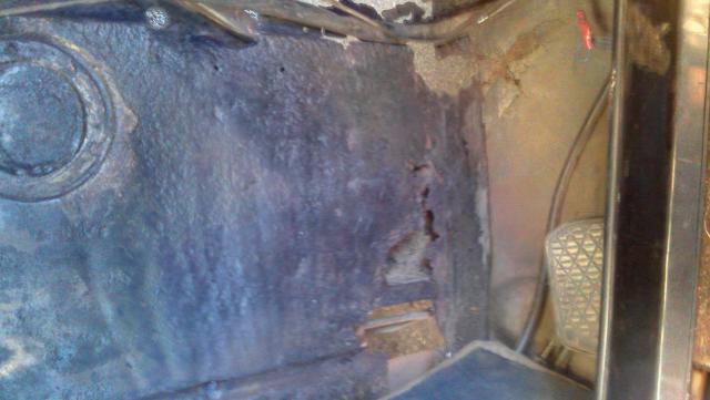 IMAG0890.jpg