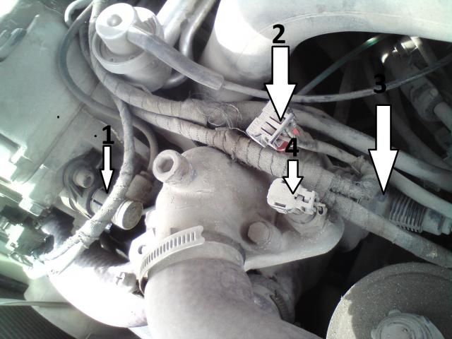 DSC00003.JPG