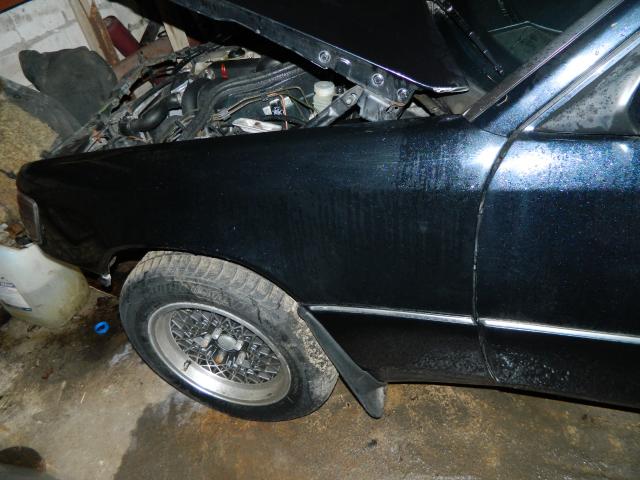DSCN1463.jpg