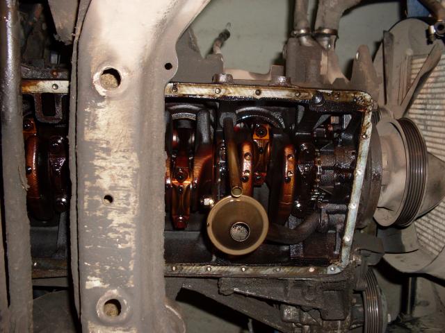 SDC10072.JPG