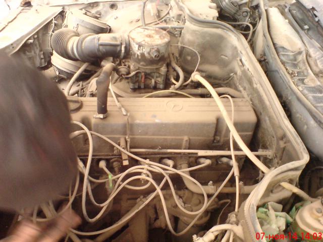 DSC00991.JPG