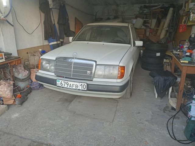 IMG_20260429_195136.jpg