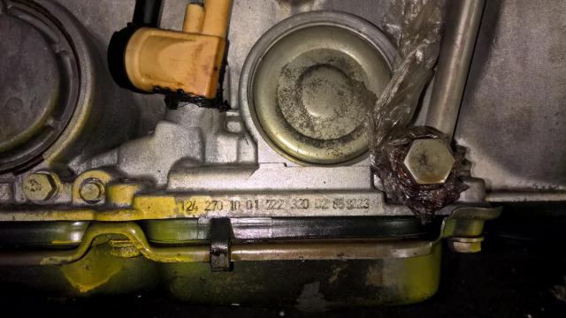 WP_20191018_15_43_34_Pro.jpg