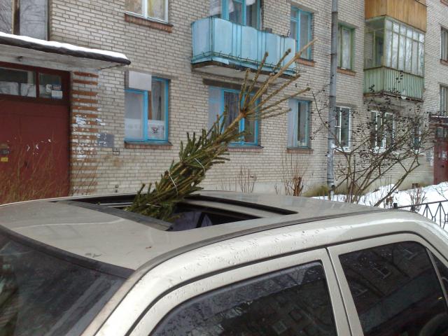 28122012667.jpg