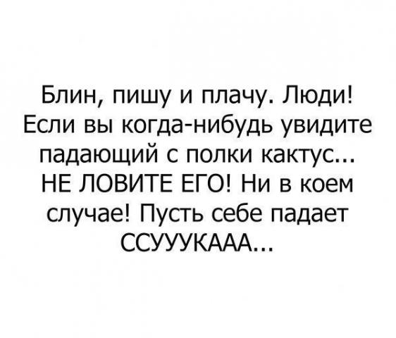 10042155.jpg