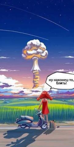 11347542.jpg