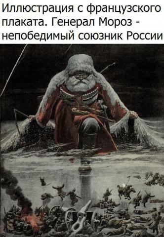 image (8).jpg