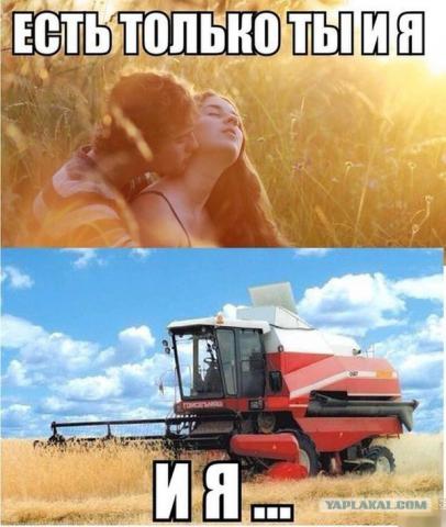 8751806.jpg