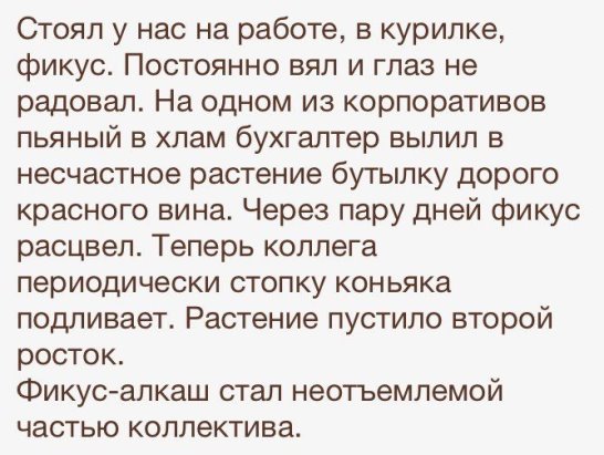 image (1).jpg