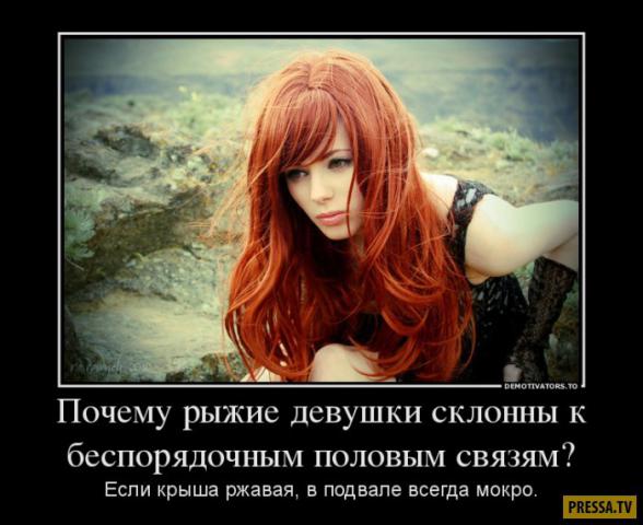 image (1).jpg