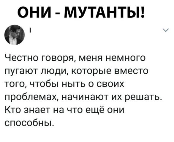 orig.jpg
