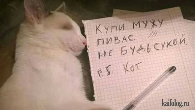 1506915593_009.jpg