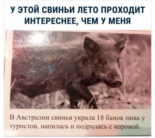 image (22).jpg
