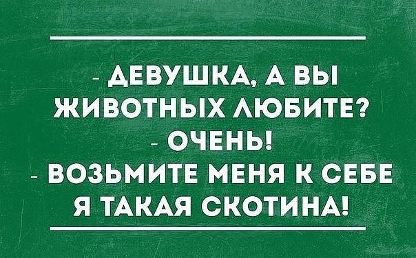 image (3).jpg