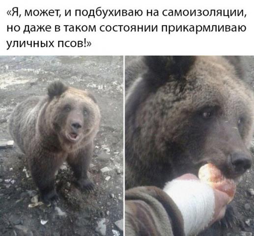 WhatsApp Image 2020-05-05 at 17.42.35.jpeg