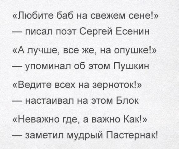 imageN0XO1M63.jpg