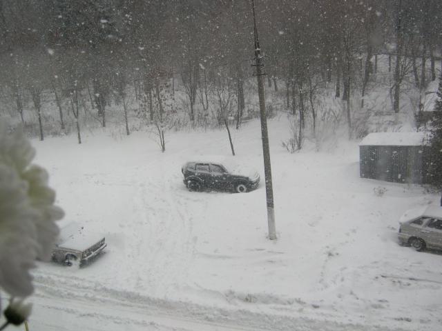 IMG_0361.JPG