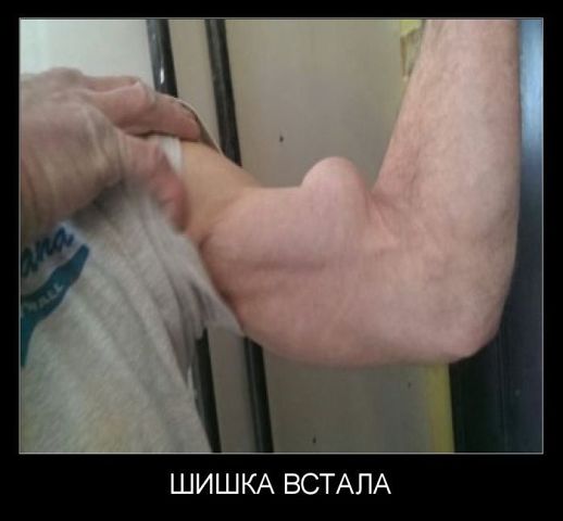 Шишка встала мем