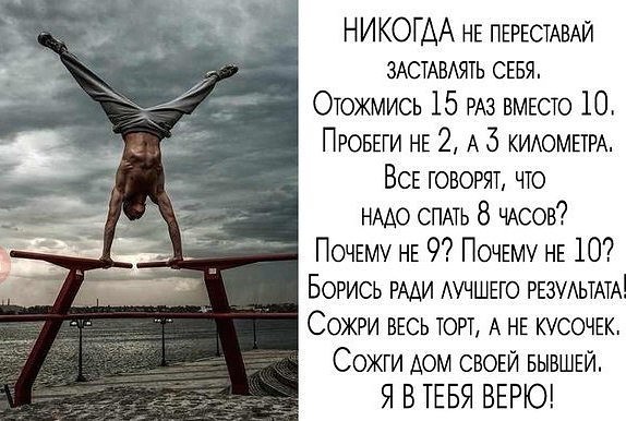 image__22_.jpg