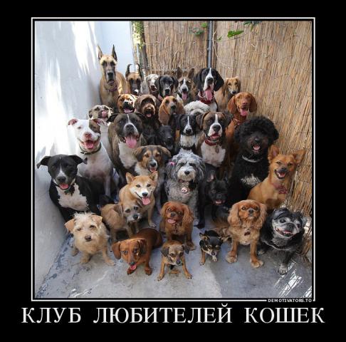 getImage__7_.jpg