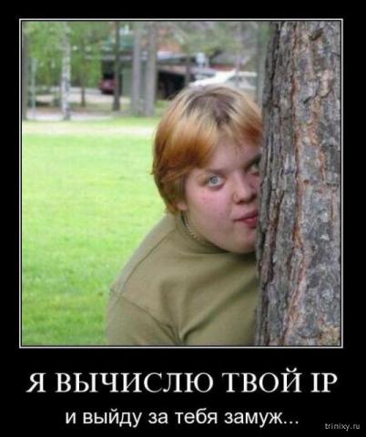 1464631678_zamuzh_ip.jpg