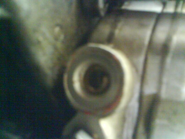 DSC00133.JPG