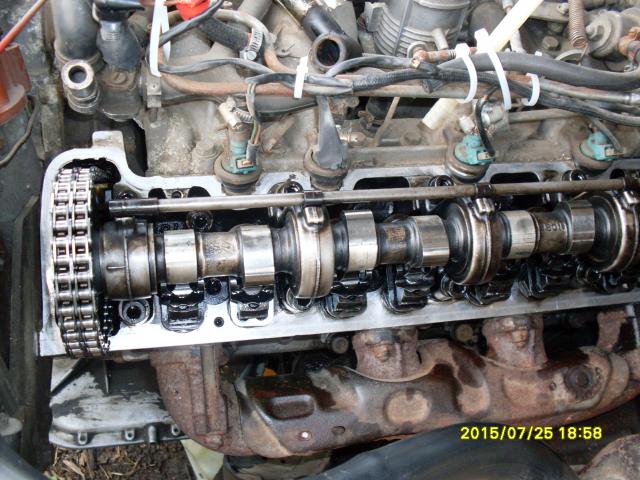 SDC10536.JPG