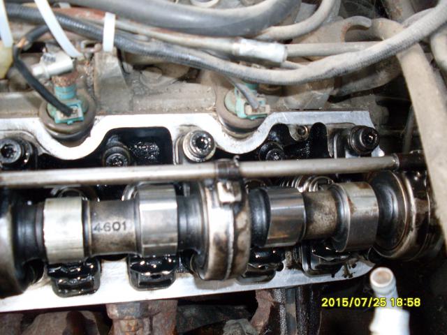 SDC10537.JPG
