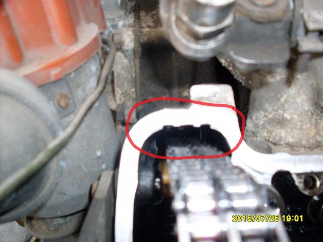 SDC10548.JPG