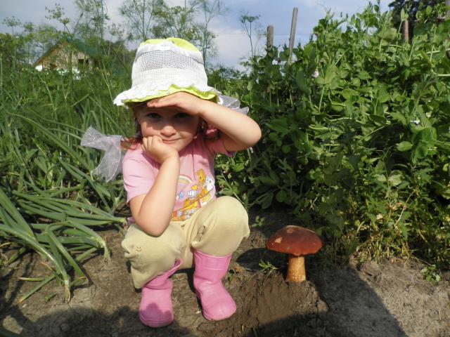 P7160575.JPG