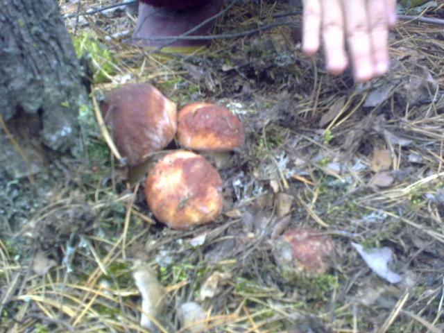 26082012328.jpg