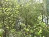 02.05.2009_001.jpg