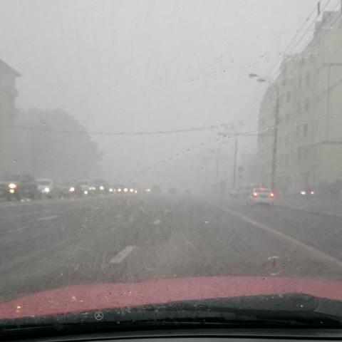 IMG_20151009_144833.jpg