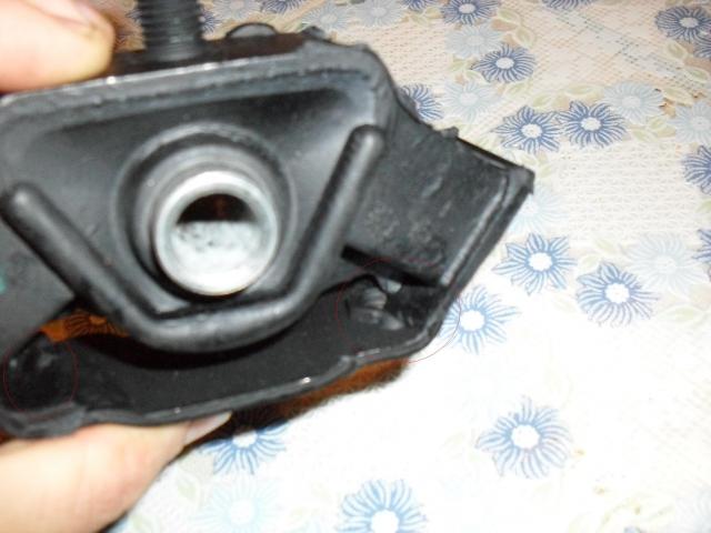 SDC10533.JPG