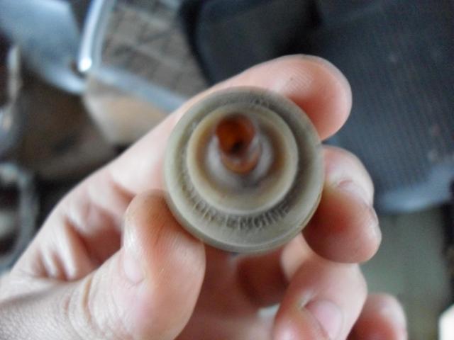 SDC10614.JPG