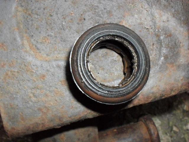 SDC10766.JPG