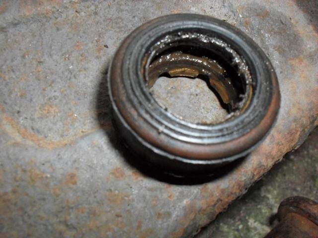 SDC10767.JPG