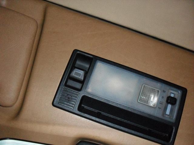 SDC10924.JPG