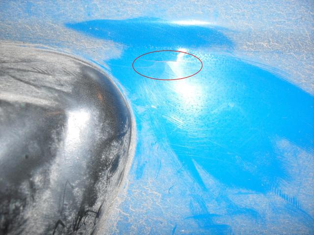 SDC11555.JPG