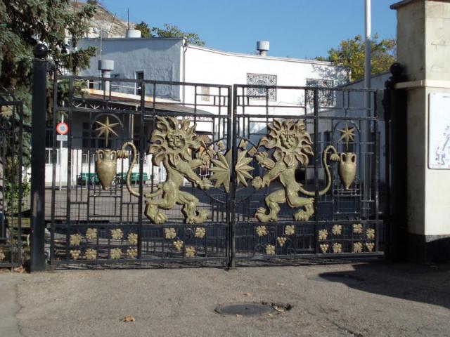 CIMG2327.JPG