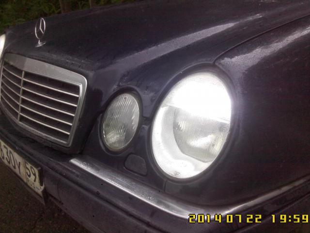 IMG00557.jpg