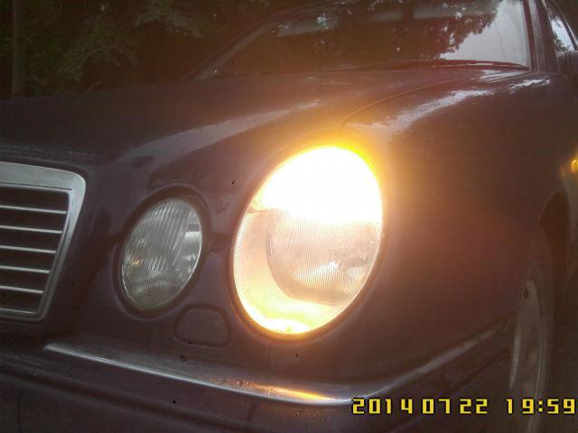 IMG00558.jpg