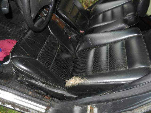 DSCN3342.JPG