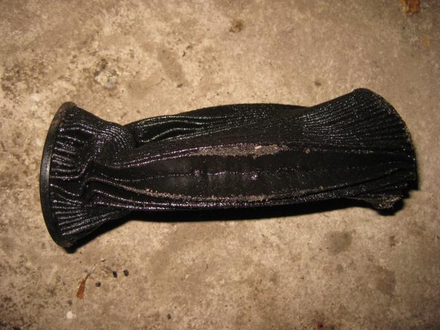 IMG_4632.JPG