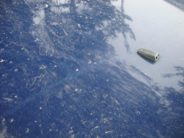 DSC01467.JPG